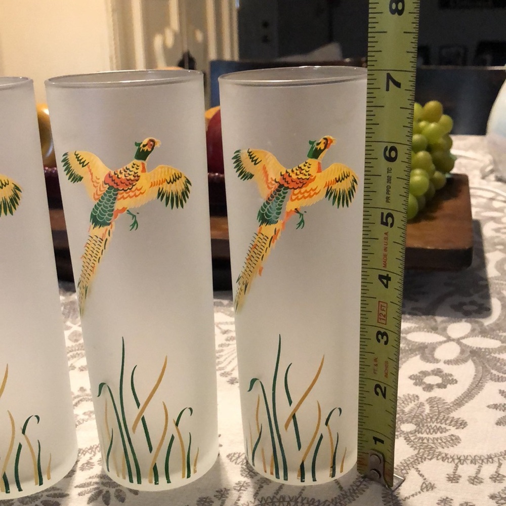 Vintage frosted flying wild birds highball glasses - Picture 2 of 4
